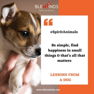 Read more about the article Life Lessons from Dog – Spirit Animals Campaign