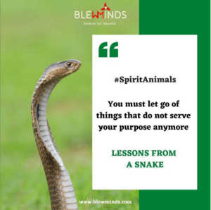 Read more about the article Life Lessons from Snake – Spirit Animals Campaign